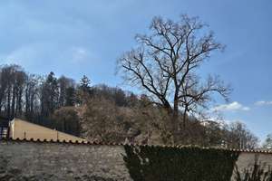 Stadthaus mit Genehmigung, Innenhof und großem Entwicklungsspielraum – Die vollständige Adresse der Immobilie erhältst du vom Anbieter., 93133 Burglengenfeld – Vorschaubild 12