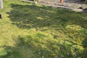 Grosses 2-Familienhaus zzgl. ausgebautem Dachgeschoss mit herrlichem Gartengrundstück, Hof u Garage – Bergstraße (Kreis) – Vorschaubild 10
