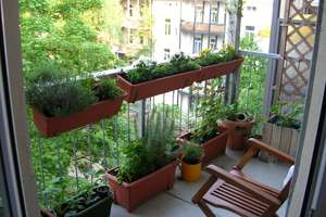 Property thumbnail 3