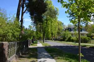 *** Ein ganz charmantes Einfamilienhaus mit herrschaftlichem Garten und 193 qm Wohnnutzfläche *** – Clara-Zetkin-Straße 12, 16540 Hohen Neuendorf – Vorschaubild 46