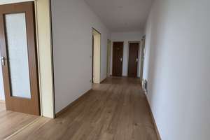 (Anfragen nur per eMail) -Ruhige und gepflegte Drei-Zimmer-Küche-Bad Wohnung  in Darmstadt-Wixhausen – In den Wingerten 1, 64291 Wixhausen, Darmstadt – Vorschaubild 5