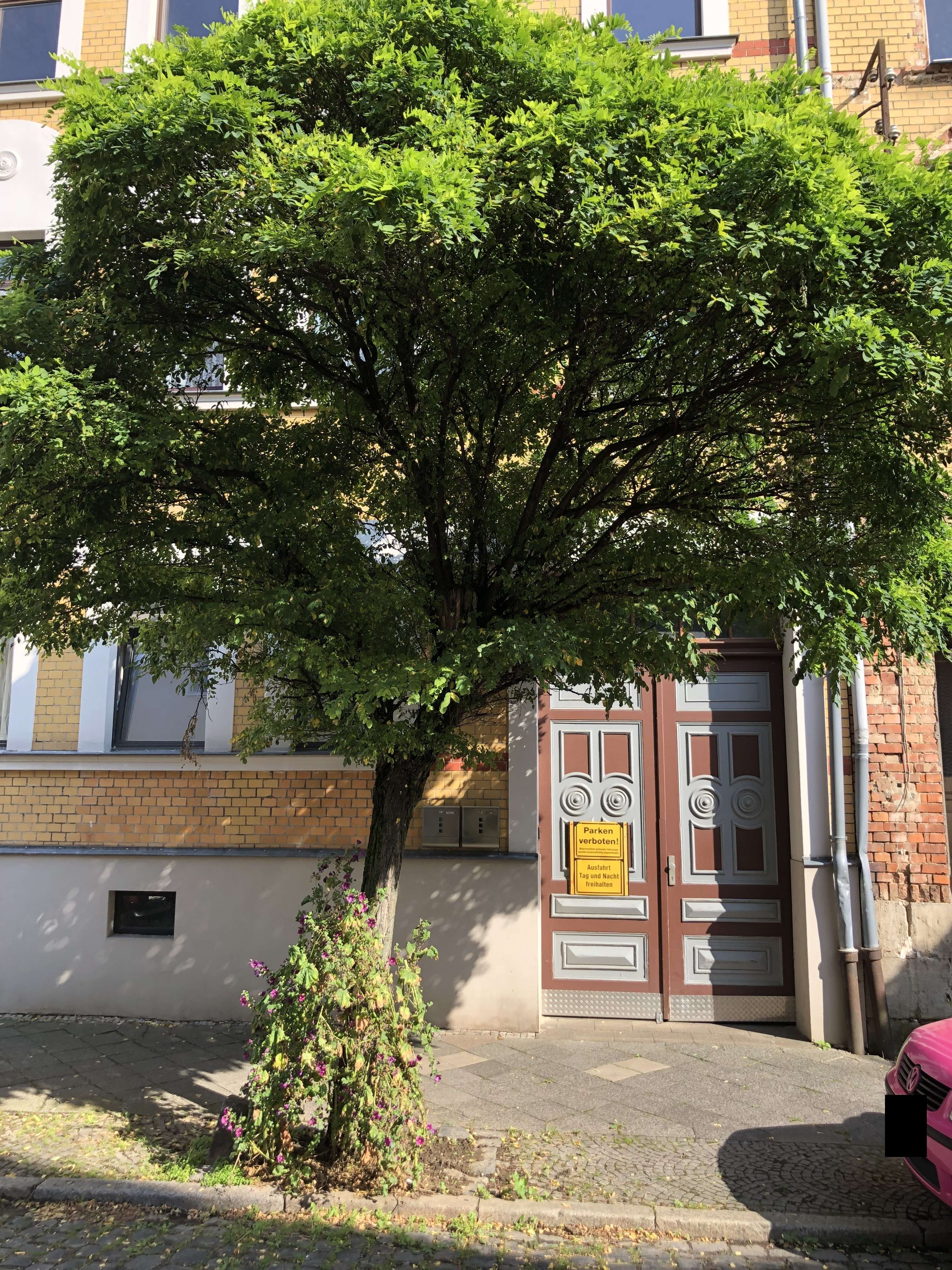 APOLDA Teilsaniertes Mehrfamilienhaus mit viel Potential durch Ausbaureserven, Nebengelaß u. Zufahrt, Weimarer Land Kreis – Bild 2