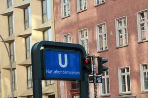 Furnished Studio with Sunny Terrace – Chausseestraße 34B, 10115 Berlin – Vorschaubild 11