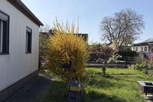 Ihr neuer Platz im Grünen! – 39126 Neustädter See, Magdeburg – Vorschaubild 6