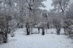 Property thumbnail 11