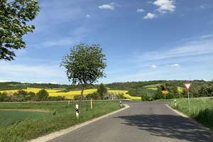 Großzügiges Sanierungsobjekt in Weißenschirmbach – Die vollständige Adresse der Immobilie erhältst du vom Anbieter., 6268 Querfurt – Vorschaubild 27