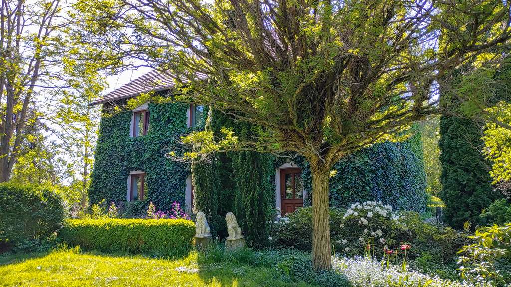 Immobilie in Großweitzschen - Großzügiges Einfamilienhaus auf idyllischem Grundstück und vielseitigen Nutzungsmöglichkeiten - Bild 0