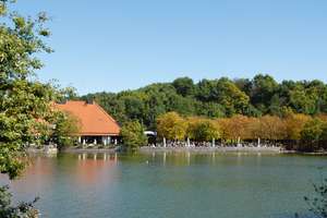 Property thumbnail 10