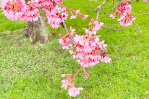 Property thumbnail 17