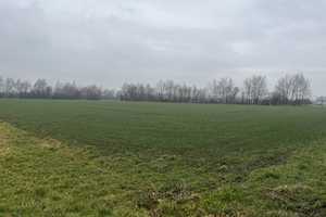 Resthof mit anliegender landwirtschaftlicher Fläche – Oberspreewald-Lausitz (Kreis) – Vorschaubild 1