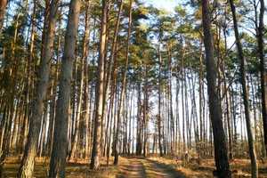 Stilvoll Leben umgeben von Wald, Feld und Wasser-ein einzigartiges Haus am Voßkanal – Oberhavel (Kreis) – Vorschaubild 13