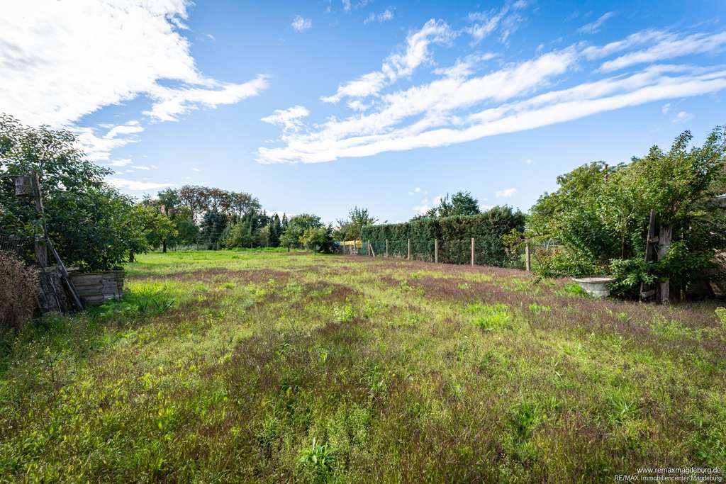 Immobilie in Genthin - Viel Platz für Familie & Hobbys – EFH-Villa mit Scheune, Garagen und großem Grundstück - Bild 2