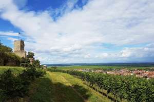 "Charmantes Einfamilienhaus mit Potenzial in Wachenheim"  – Die vollständige Adresse der Immobilie erhältst du vom Anbieter., 67157 Wachenheim an der Weinstraße – Vorschaubild 19