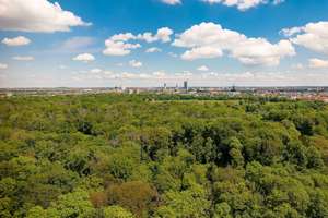 Exklusive Gründerzeit Villa in Schleußig mit flexiblen Nutzungsmöglichkeiten am Clara-Zetkin-Park – 4229 Schleußig, Leipzig – Vorschaubild 17