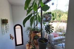 2,5-Zimmer-Maisonette-Wohnung mit Dachterrasse im wunderschönen Auenviertel – Die vollständige Adresse der Immobilie erhältst du vom Anbieter., 50996 Rodenkirchen (Ortsteil), Köln – Vorschaubild 9