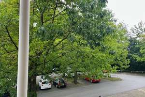 Freies 1-Zi.-Balkon-Apartment, ruhig, hell, grün !! – Die vollständige Adresse der Immobilie erhältst du vom Anbieter., 93053 Kasernenviertel, Regensburg – Vorschaubild 8