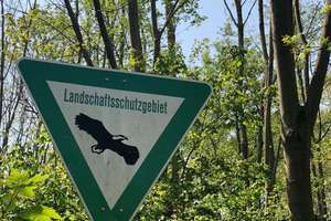 Modernes Zuhause für Ihre Familie mit Grundstückskauf! – Die vollständige Adresse der Immobilie erhältst du vom Anbieter., 50126 Bergheim – Vorschaubild 27