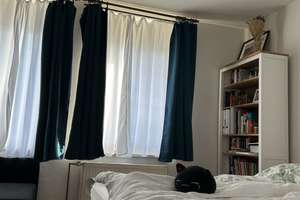 Helles 1-Zimmer-Apartment in der Kölner Südstadt – Die vollständige Adresse der Immobilie erhältst du vom Anbieter., 50678 Neustadt/Süd, Köln – Vorschaubild 2