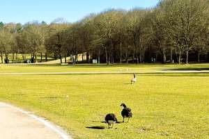 Property thumbnail 19