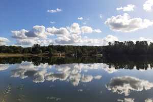 Zwei Ferienbungalows mit Fasssauna am Pinnower See - Reserviert – Spree-Neiße (Kreis) – Vorschaubild 35