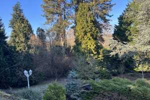 Genießen Sie den Rheingau und das Einfamilienhaus mit Potential  - und den XXL-Garten – Rheingau-Taunus-Kreis – Vorschaubild 11