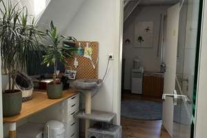 ** Helle 3-Zimmer-Wohnung mit TG-Stellplatz,  in begehrter Lage von Wiesbaden-Bierstadt ** – Raiffeisenstraße 6, 65191 Bierstadt, Wiesbaden – Vorschaubild 6