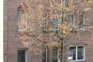 1-Zimmer-Appartement in St. Johannis – Poppenreutherstrasse 4, 90419 Nürnberg – Vorschaubild 16