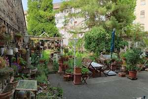 Mehrfamilienhaus für Investor – 67063 Nord-Hemshof, Ludwigshafen am Rhein – Vorschaubild 9