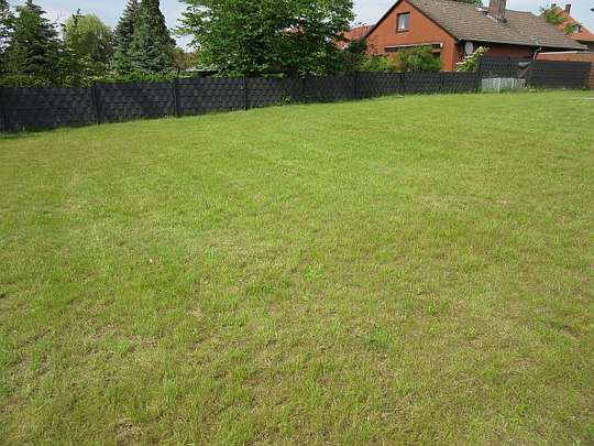 Garten 2 Garten 2