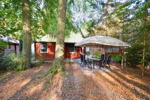 Strandnahes Urlaubsdomizil in idyllischer Waldlage!!! – Bad Doberan (Kreis) – Vorschaubild 7