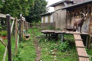 Zweifamilienhaus mit Gärten und großer Scheune – Lippe (Kreis) – Vorschaubild 47