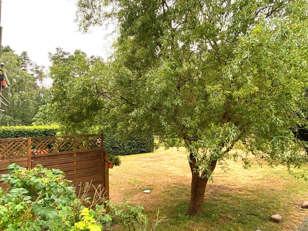 Immobilie in Mixdorf - Provisionsfrei - Vermietete Drei-Zimmer-Erdgeschosswohnung in Seenähe - Bild 4