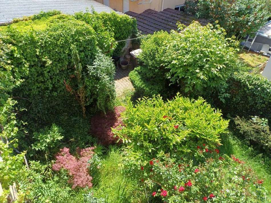 Garten Blick vom Balkon