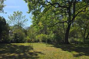 Bestlage Dahlem: Hell & grün, SW-Loggia & TG! Ruhig direkt am Botanischen Garten! – 12165 Steglitz, Berlin – Vorschaubild 20