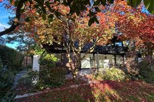 Property thumbnail 13