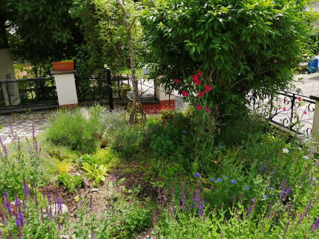 Immobilie in Neuhausen ob Eck - Schönes Einfamilienhaus mit großem Garten &amp; überdachtem Caravan-Stellplatz - Bild 3