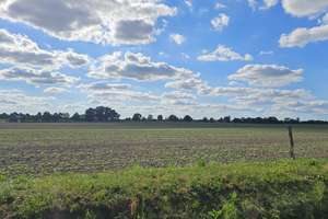 Kleines Seeburger Landhaus DHH mit Blick in die Felder – Dallgower Chaussee 3, 14624 Dallgow-Döberitz – Vorschaubild 5