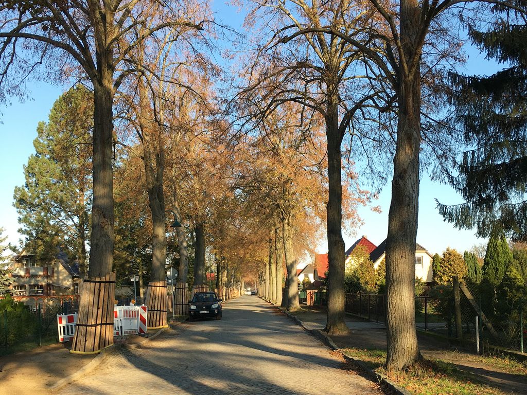 Wochenendhaus Fläming Kaufen