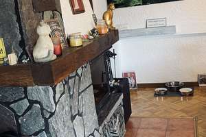 Modernisierter 6-Zimmer-Bungalow mit Einbauküche in Wesseling, Wesseling – Die vollständige Adresse der Immobilie erhältst du vom Anbieter., 50389 Wesseling – Vorschaubild 5