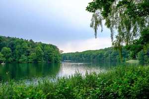 darf es etwas Besonderes sein ? Herzlich willkommen in Zehlendorf – Berlin – Vorschaubild 8