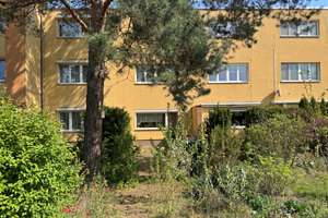 Grün + zentrumsnah: Reihenhaus, 4 Zimmer, Südausrichtung, eigener, kleiner Garten am Plänterwald