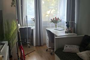 Property thumbnail 7