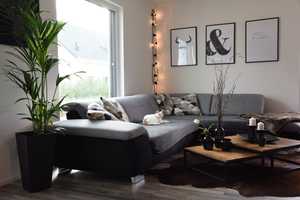 Dein Traumhaus am Niederrhein: Flexibel, Sicher und Modern mit Living Haus – Wesel (Kreis) – Vorschaubild 2