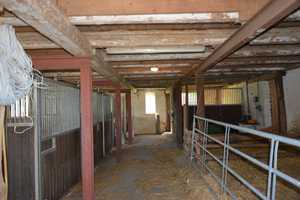 Ruhe & Natur: Resthof mit arrondiertem Weideland – Dithmarschen (Kreis) – Vorschaubild 12