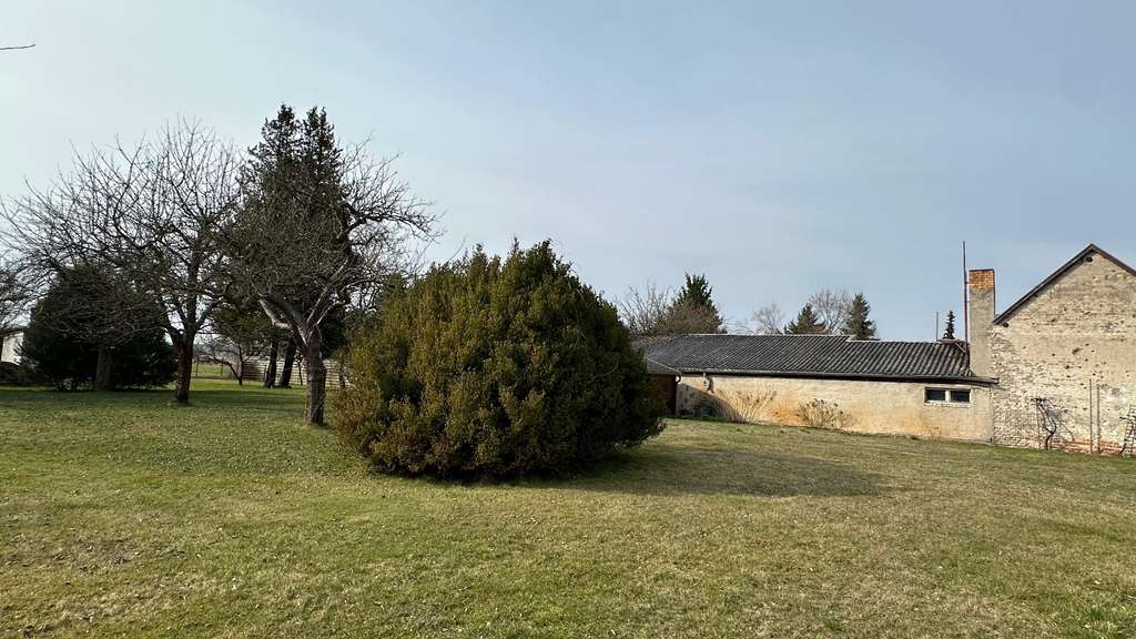 Immobilie in Guben - Den Sommer im neuen Zuhause genießen! - Bild 2