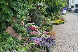 Property thumbnail 9