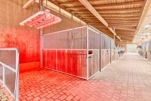 Reitanlage kaufen Bayern – mit gehobenem Wohnkomfort & umfassenden Trainingsbedingungen! – Die vollständige Adresse der Immobilie erhältst du vom Anbieter., 91477 Markt Bibart – Vorschaubild 11