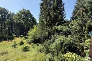 Sie suchen die Ruhe und keine Nachbarn - Bitteschön – Die vollständige Adresse der Immobilie erhältst du vom Anbieter., 90518 Altdorf bei Nürnberg – Vorschaubild 56