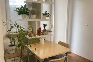 Modernisierte 1-Zimmer-Wohnung im EG. mit Terrasse und TG an Dianaplatz – Heisterstraße 20, 90441 Werderau, Nürnberg – Vorschaubild 35