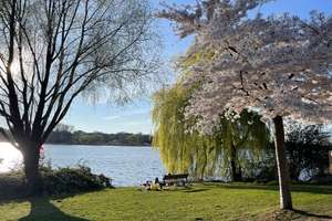 Zwischen Wasser und Weitblick – 
mehr als nur eine Adresse! – Die vollständige Adresse der Immobilie erhältst du vom Anbieter., 22087 Uhlenhorst, Hamburg – Vorschaubild 4